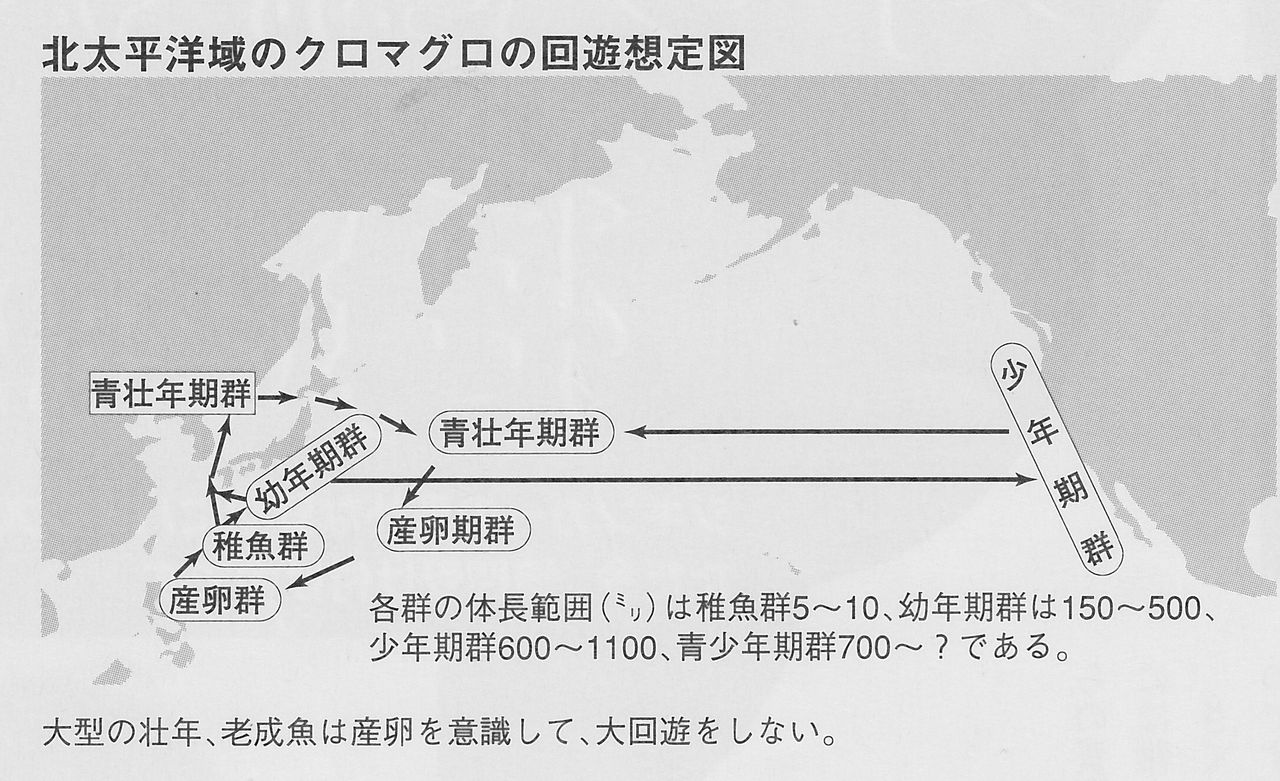 チャーマス 北村秀行のトライ エラーの釣り