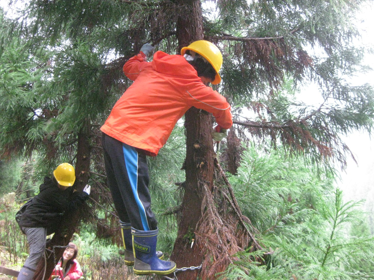 枝打ち体験 山形地区振興協議会のブログ