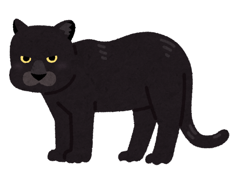 仏の黒豹 黒猫と思いきやクロヒョウ 仏アパートで捕獲 違法飼育か 生き物まとめ 仏の黒豹 黒猫と思いきやクロヒョウ 仏アパートで捕獲 違法飼育か 生き物まとめ