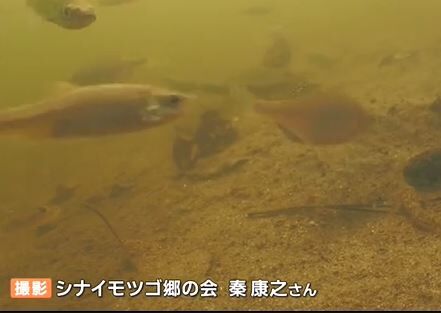 キャプチャ