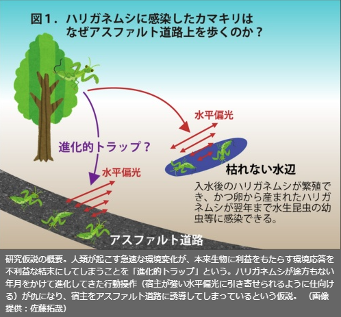 スクリーンショット 2025-07-27 173013