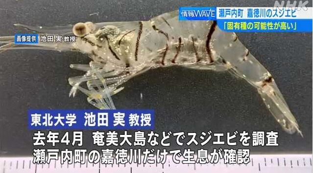 キャプチャ