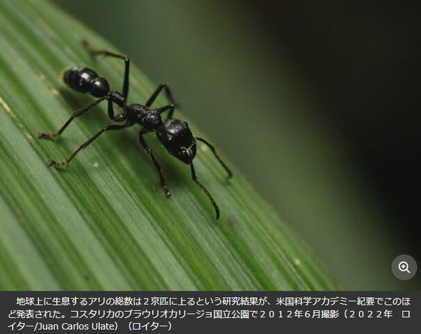 キャプチャ
