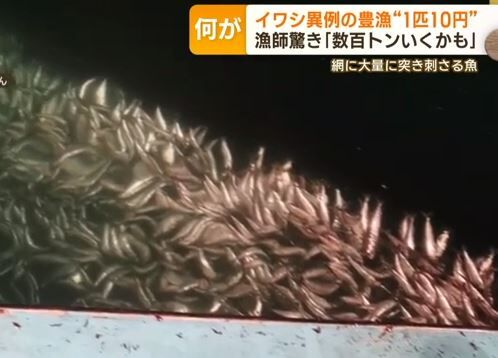 キャプチャ