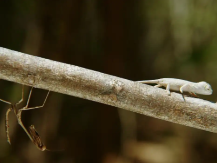 スクリーンショット 2025-07-27 173013