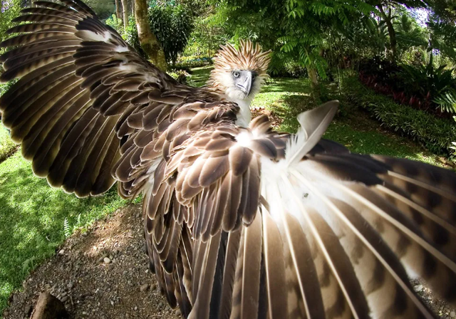 スクリーンショット 2025-08-24 082005