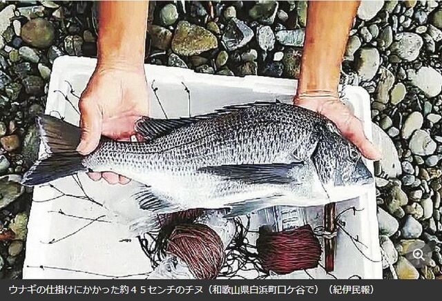 キャプチャ