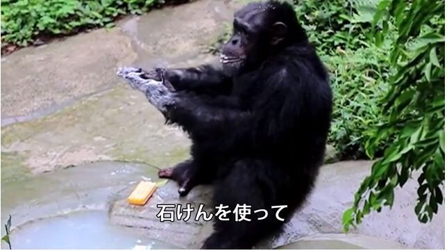 キャプチャc