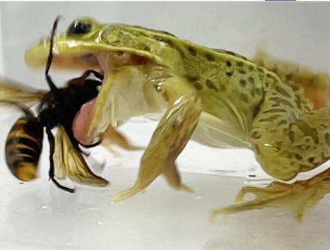 スクリーンショット 2025-07-27 173013