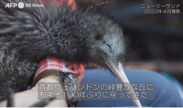 キャプチャ