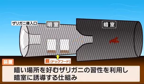 キャプチャ3