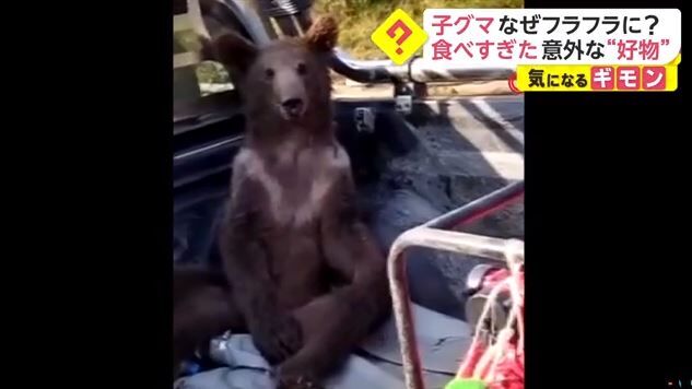 キャプチャ2