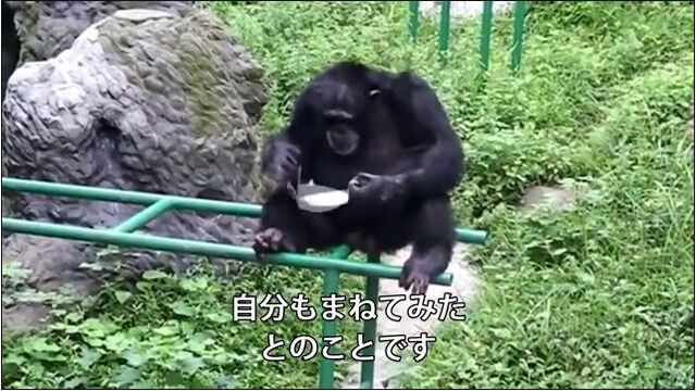 キャプチャh