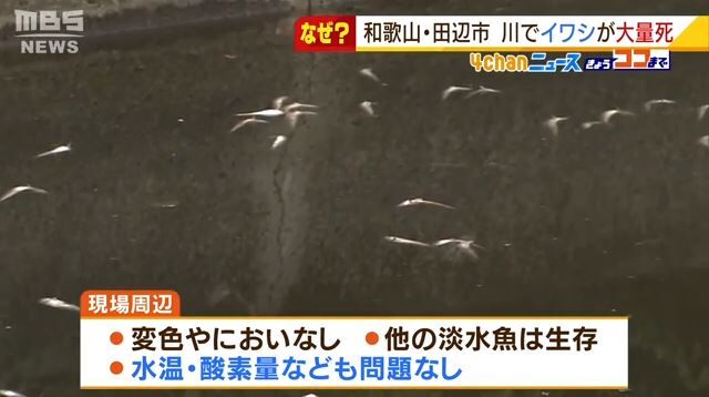 キャプチャ2