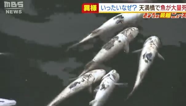 キャプチャ