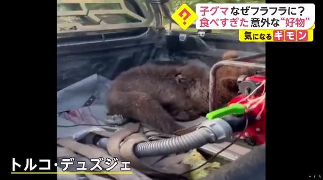 キャプチャ