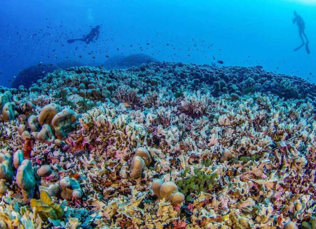 スクリーンショット 2024-10-13 074717