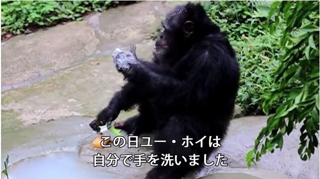 キャプチャb