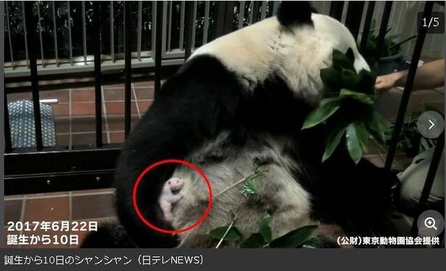 キャプチャ00
