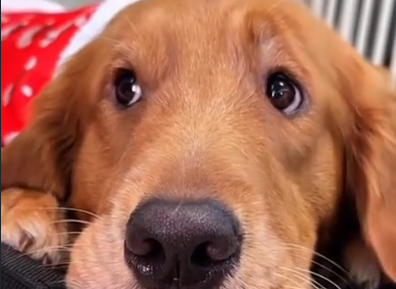 スクリーンショット 2024-10-13 074717