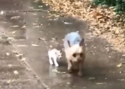 キャプチャ