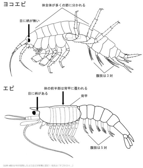 キャプチャ2