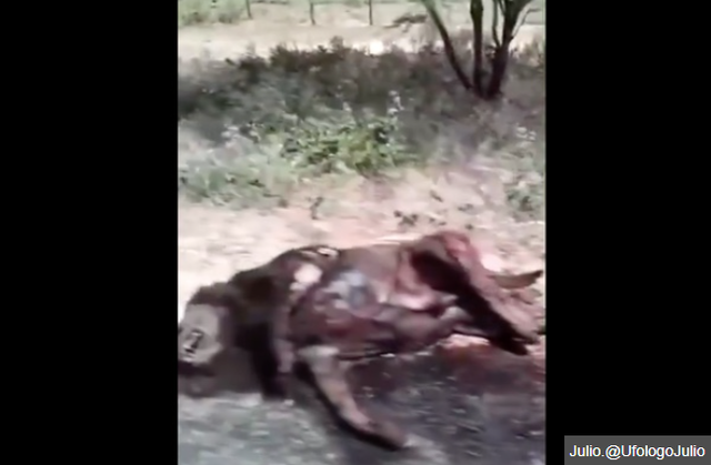 スクリーンショット 2024-06-04 181810