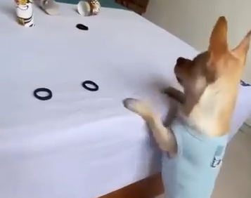 スクリーンショット 2024-10-13 074717