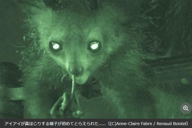キャプチャ