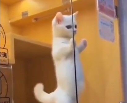 スクリーンショット 2023-11-15 172801