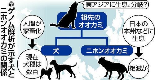 キャプチャ2