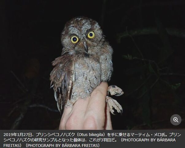 キャプチャ