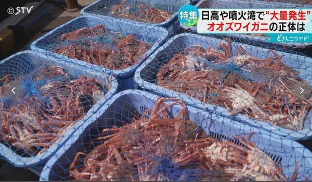 キャプチャ
