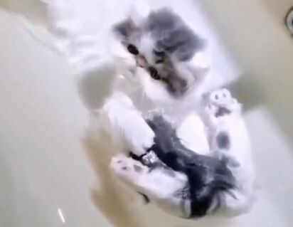 キャプチャ