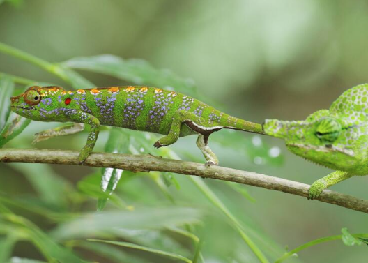 スクリーンショット 2025-07-27 173013