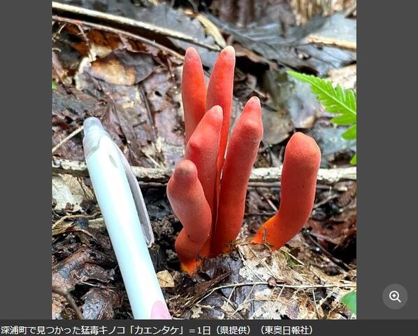 キャプチャ