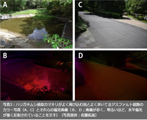 スクリーンショット 2025-07-27 173013