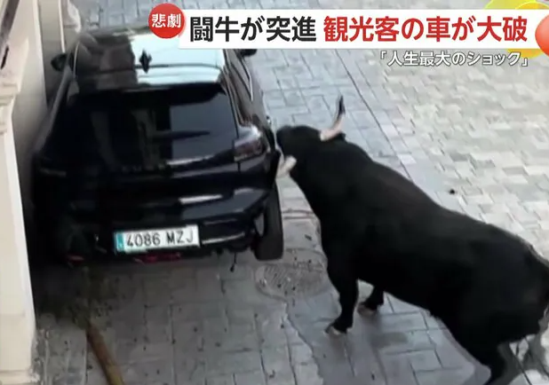 スクリーンショット 2025-07-27 173013