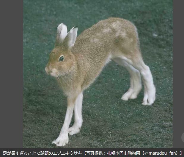 キャプチャ
