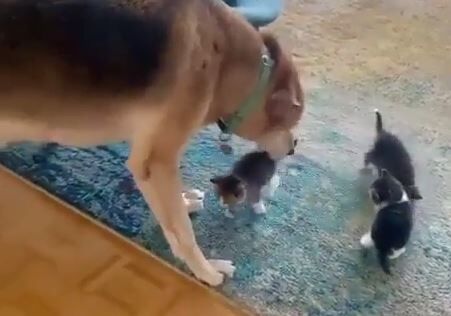 キャプチャ