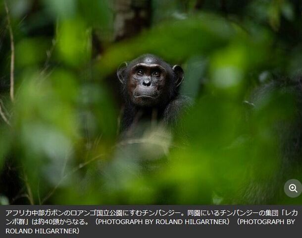 キャプチャ
