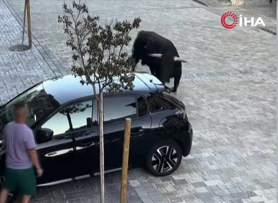 スクリーンショット 2025-07-27 173013