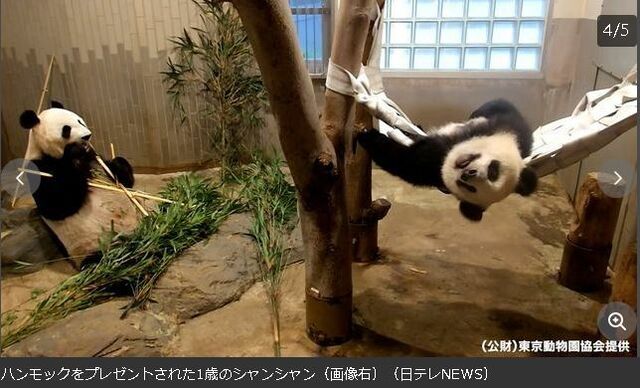 キャプチャ