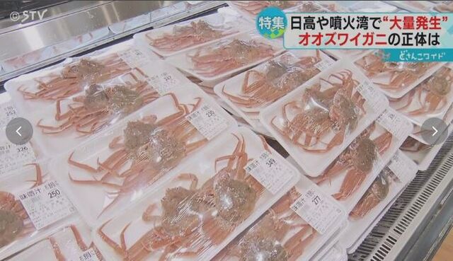 キャプチャ
