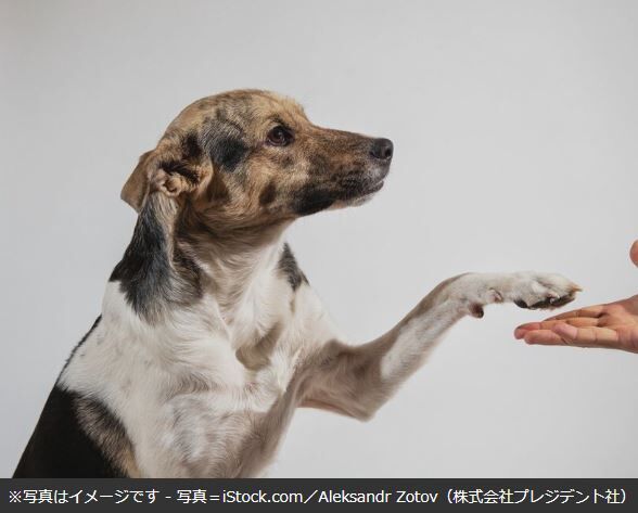 キャプチャ