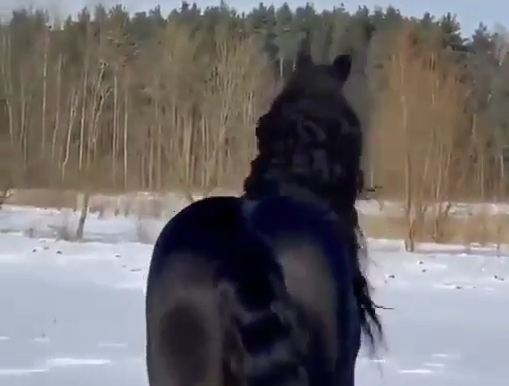 スクリーンショット 2025-07-27 173013