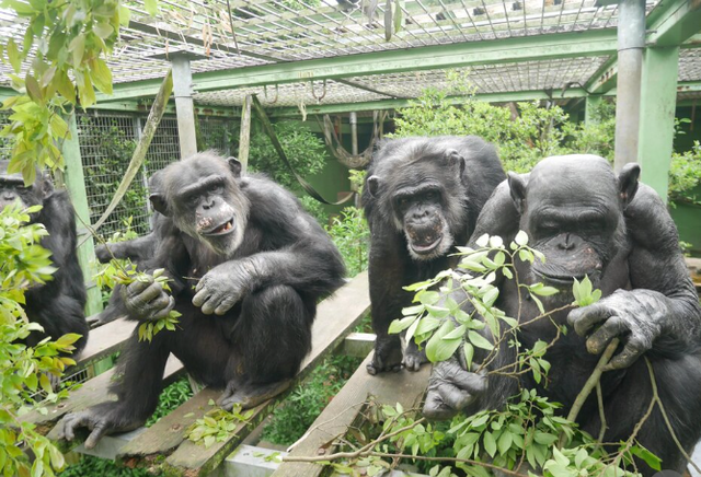 スクリーンショット 2024-10-13 074717