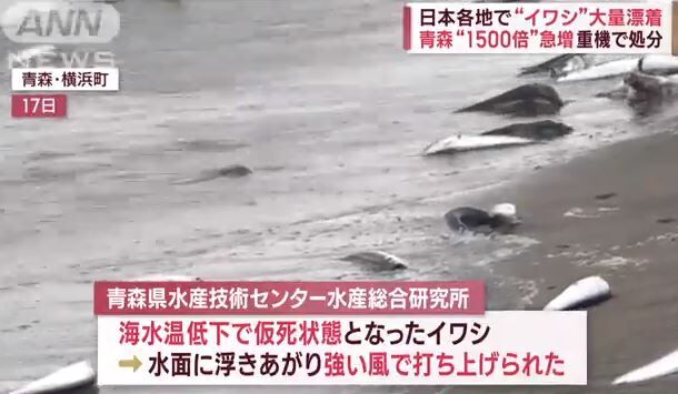 キャプチャ3
