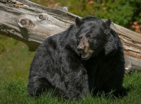 スクリーンショット 2023-08-01 132456