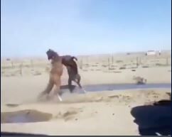 キャプチャカピ